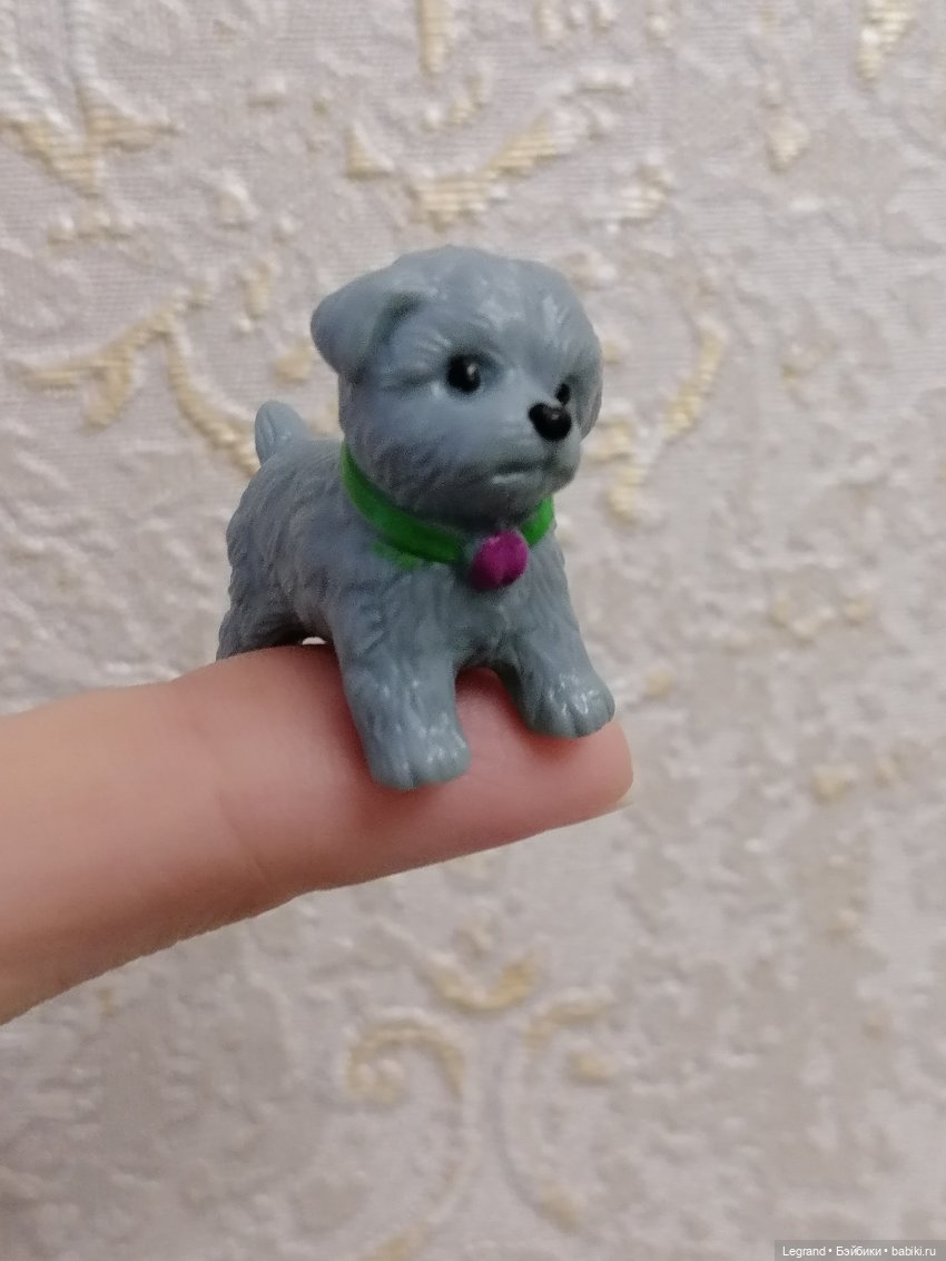 Дамла: экстремальные съёмки🤗🐕