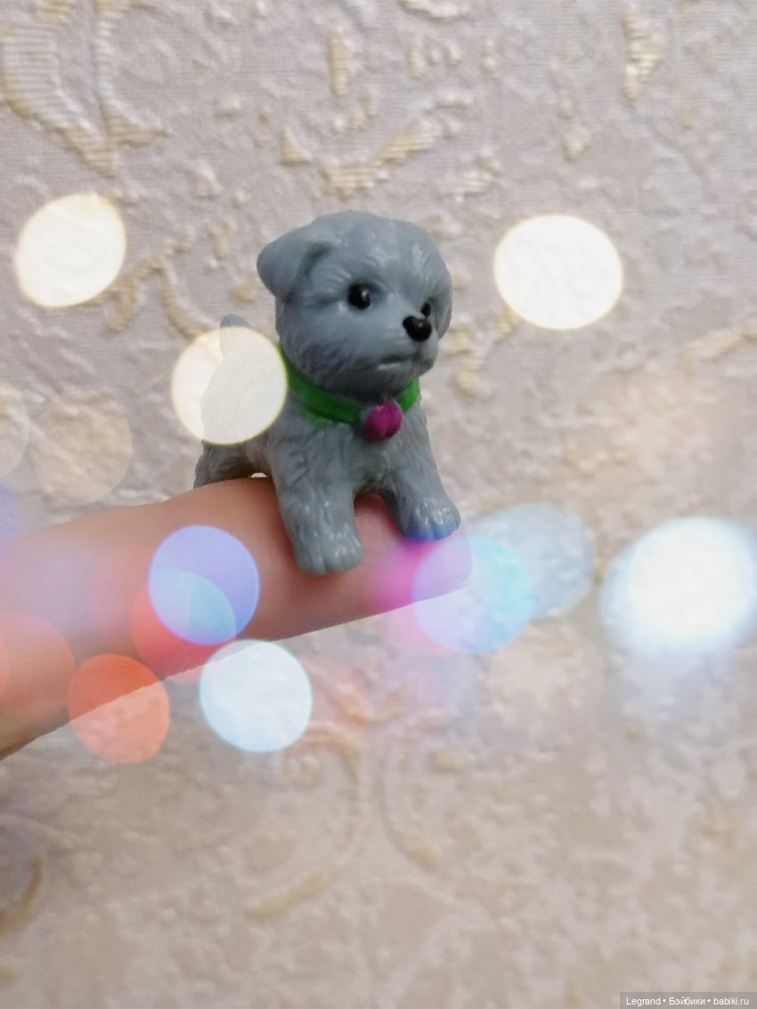 Дамла: экстремальные съёмки🤗🐕