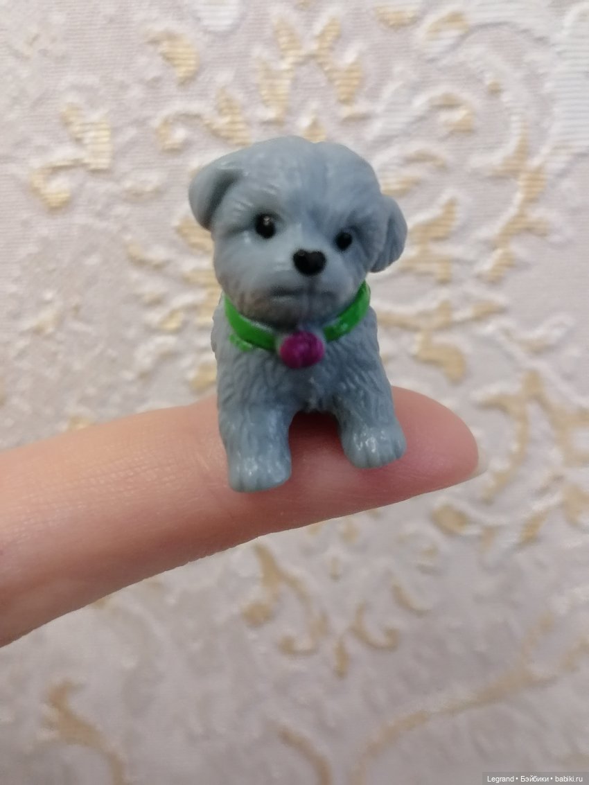 Дамла: экстремальные съёмки🤗🐕