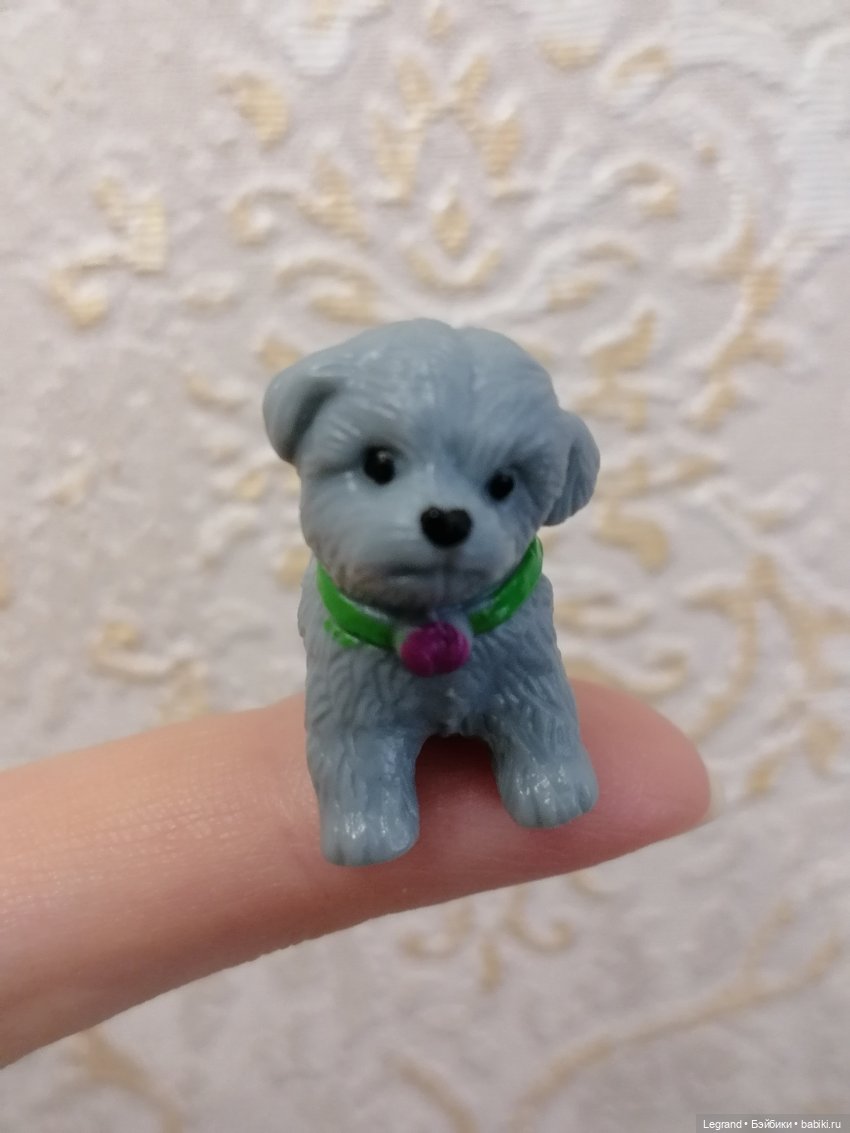 Дамла: экстремальные съёмки🤗🐕