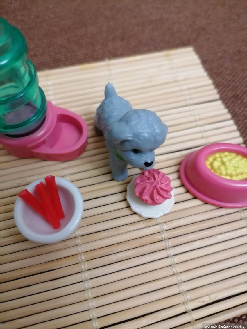 Дамла: экстремальные съёмки🤗🐕 (фото 9)