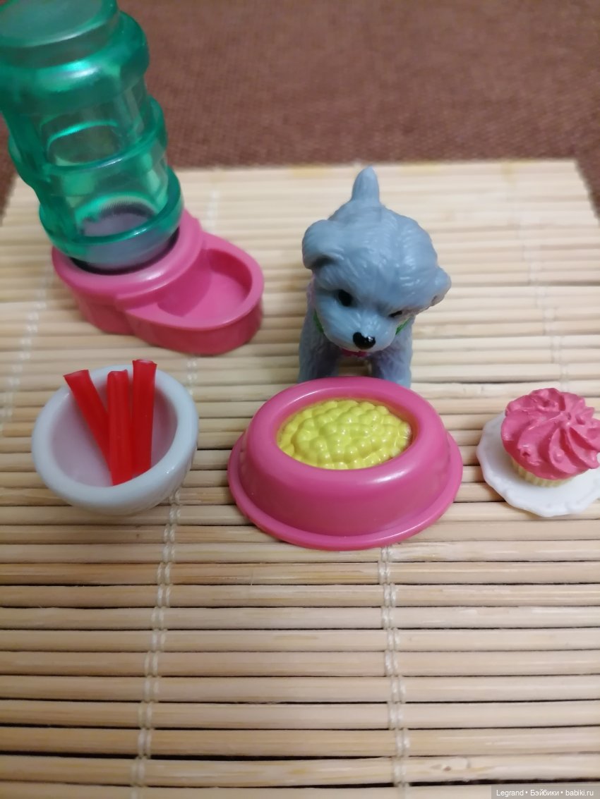 Дамла: экстремальные съёмки🤗🐕 (фото 7)