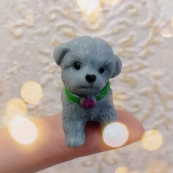 Дамла: экстремальные съёмки🤗🐕