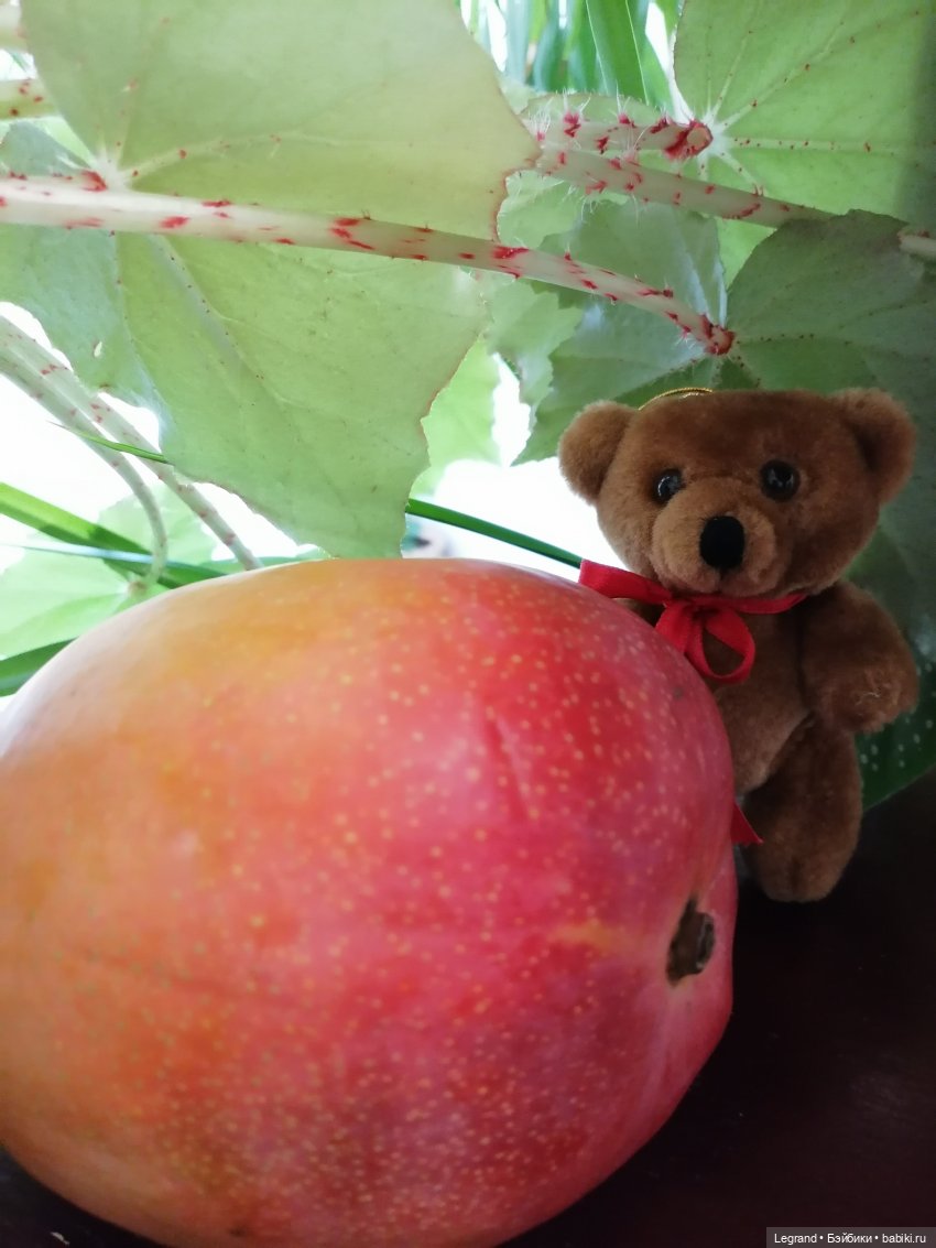 Мишель и королевское манго🥭 (фото 6)