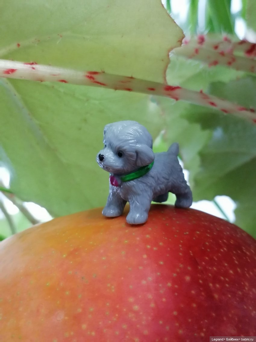 Мишель и королевское манго🥭