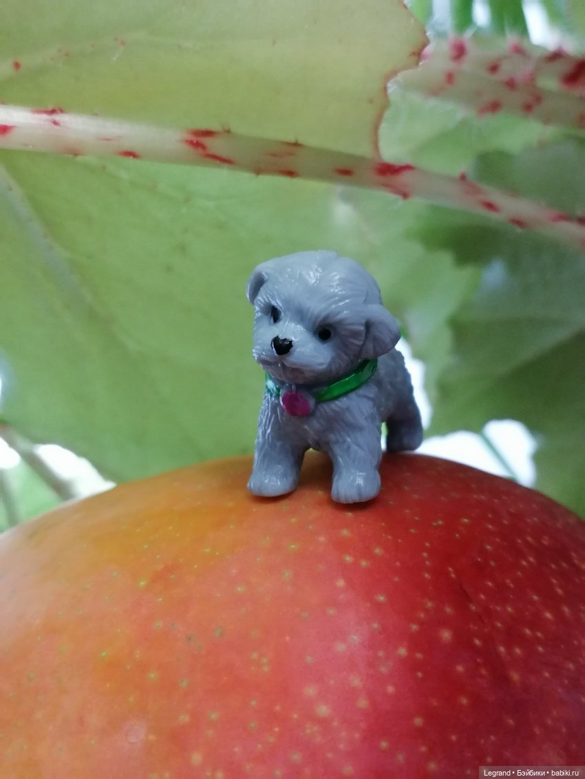 Мишель и королевское манго🥭