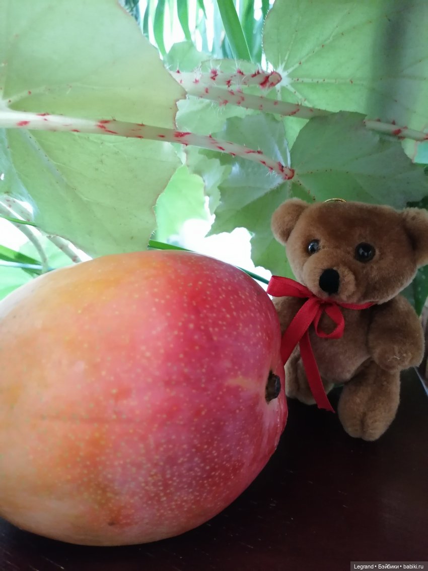 Мишель и королевское манго🥭 (фото 5)