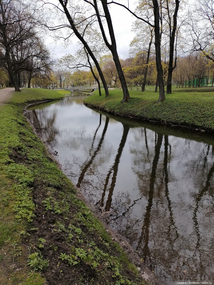 Санкт-Петербург: собачки на прогулке в Парадном и Таврическом