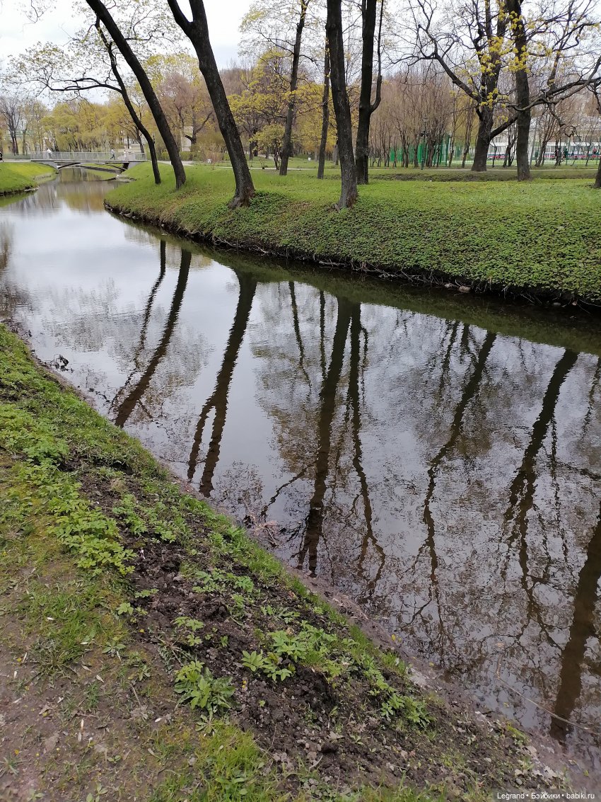 Санкт-Петербург: собачки на прогулке в Парадном и Таврическом