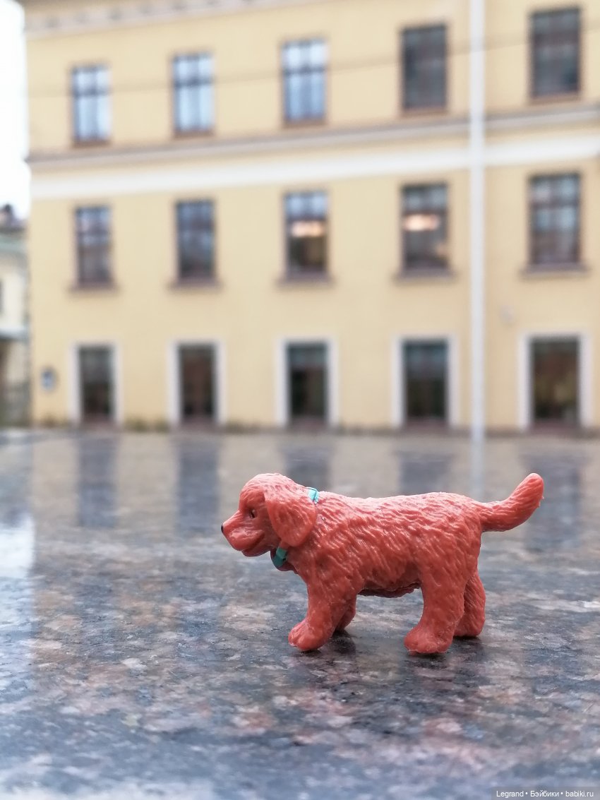 Санкт-Петербург: собачки на прогулке в Парадном и Таврическом