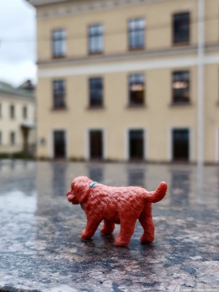 Санкт-Петербург: собачки на прогулке в Парадном и Таврическом