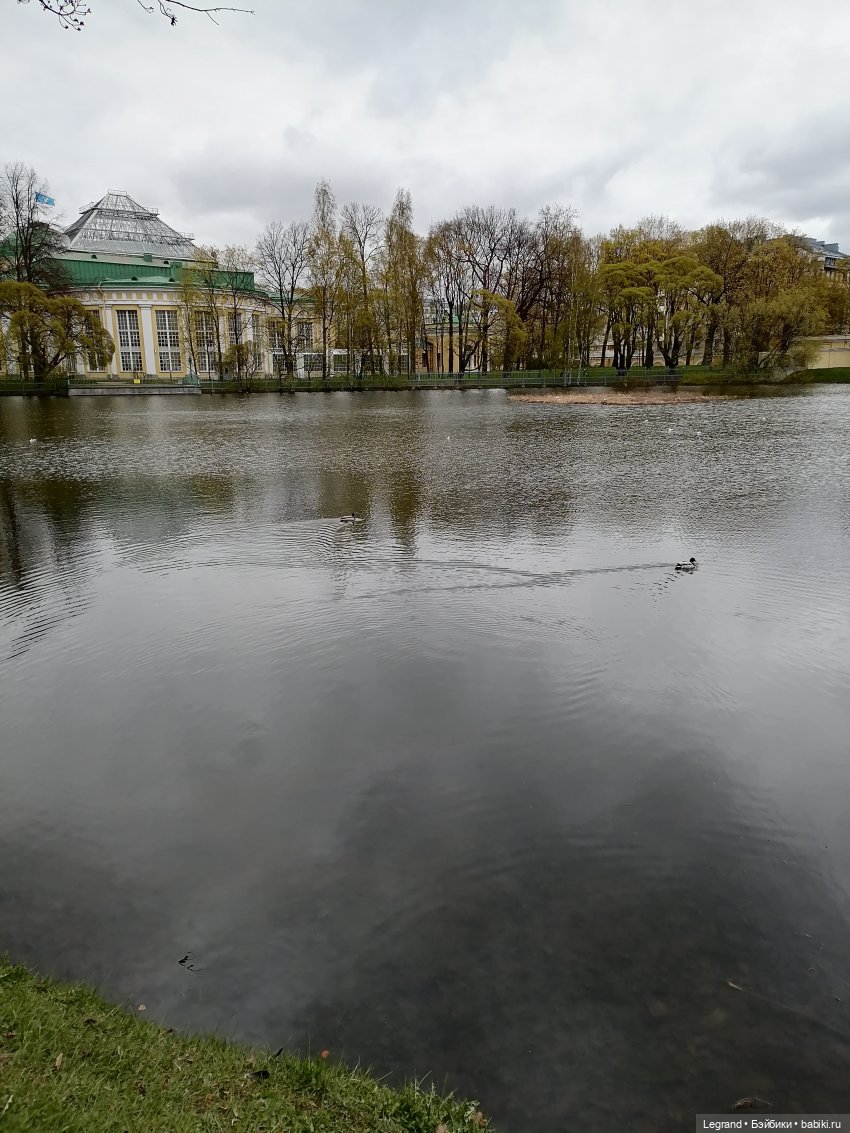 Санкт-Петербург: собачки на прогулке в Парадном и Таврическом