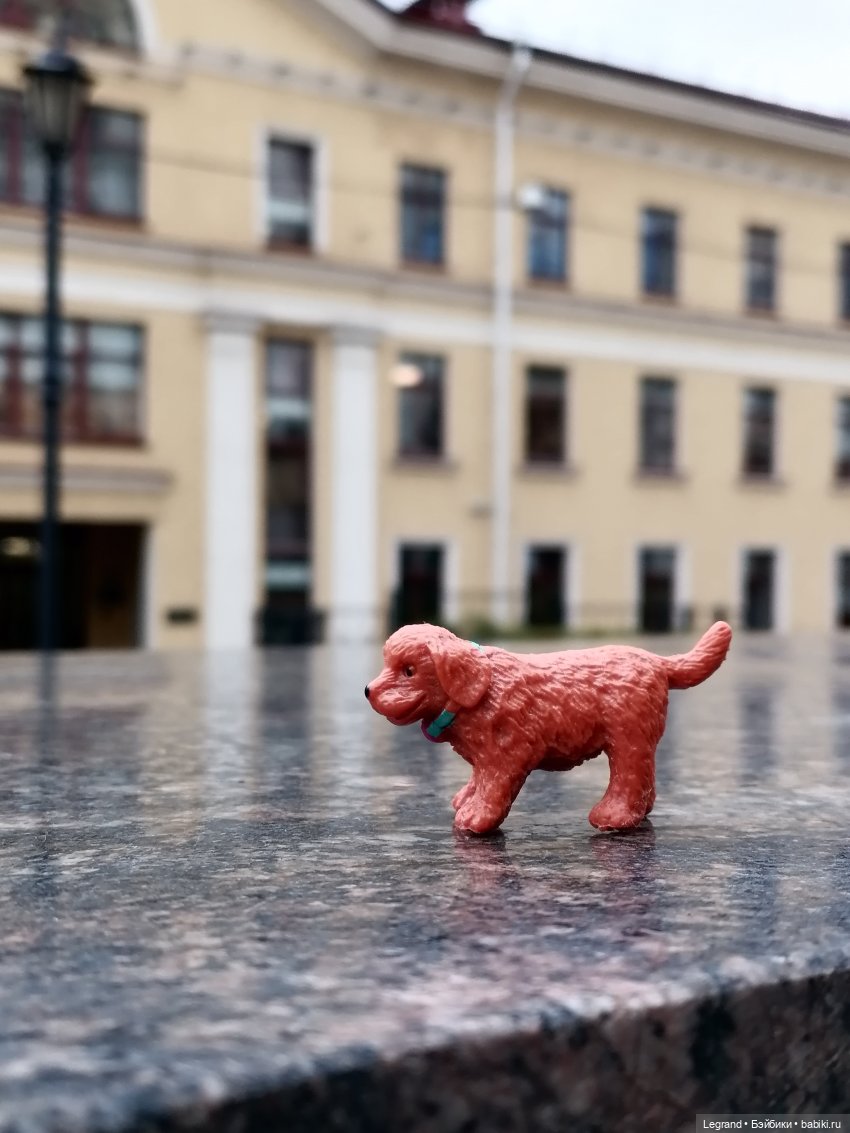 Санкт-Петербург: собачки на прогулке в Парадном и Таврическом