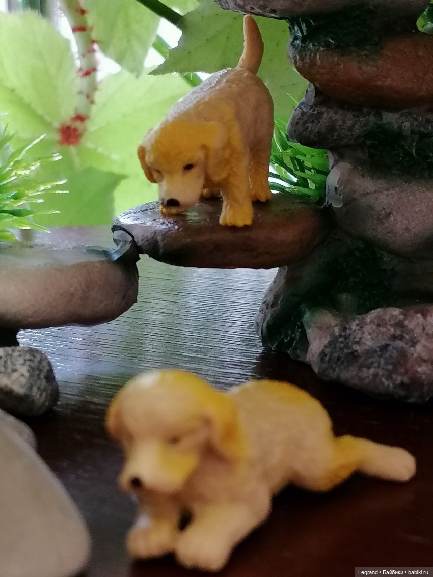 Луренские сады: Рахат и питомцы