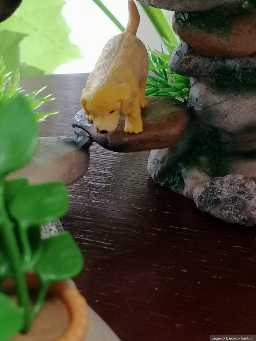 Луренские сады: Рахат и питомцы