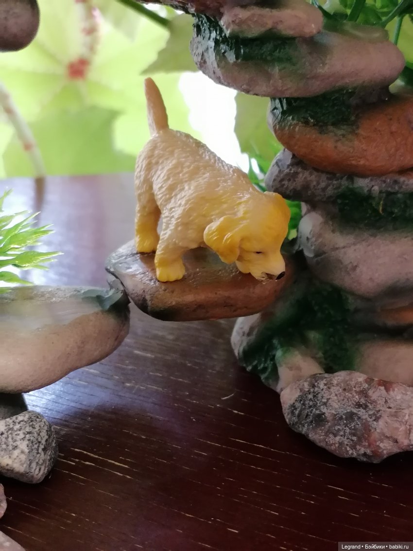 Луренские сады: Рахат и питомцы (фото 10)