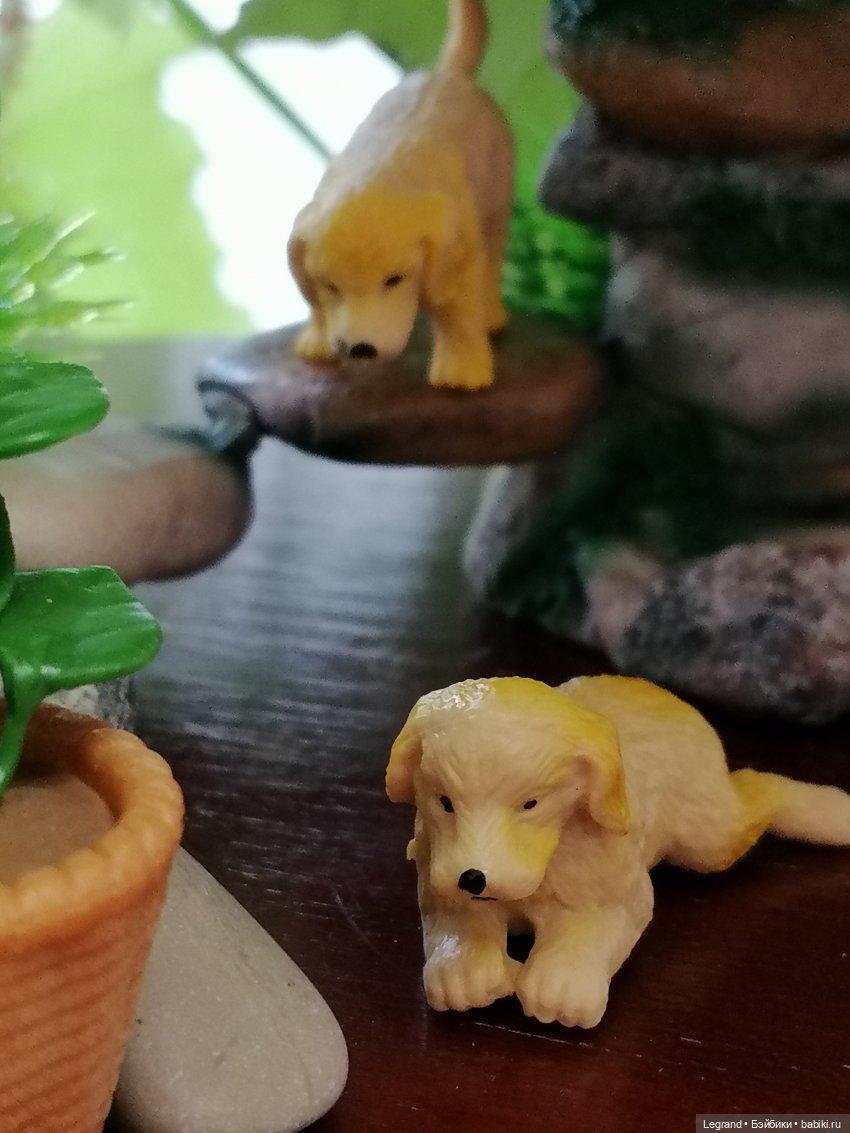 Луренские сады: Рахат и питомцы