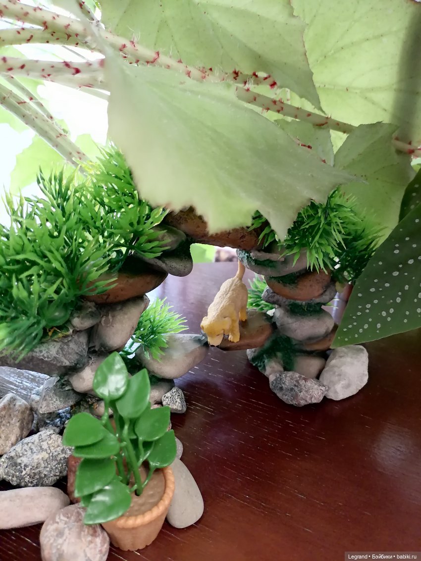 Луренские сады: Рахат и питомцы