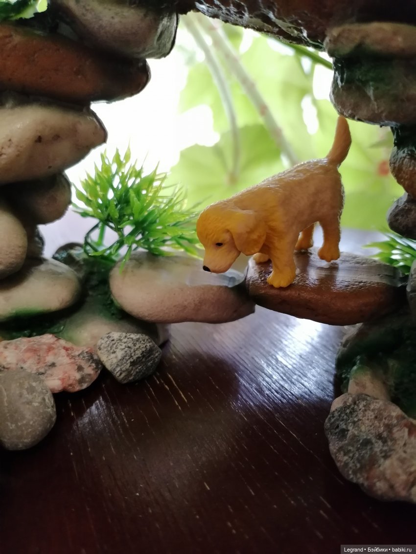 Луренские сады: Рахат и питомцы (фото 7)