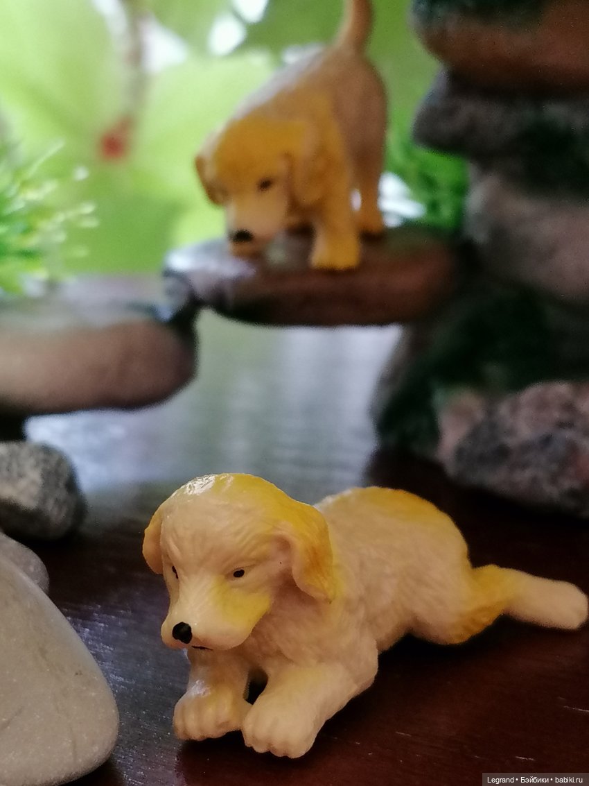 Луренские сады: Рахат и питомцы