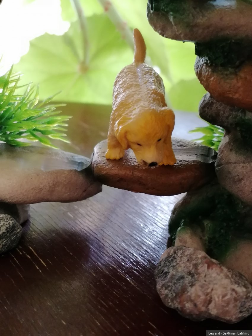 Луренские сады: Рахат и питомцы (фото 9)