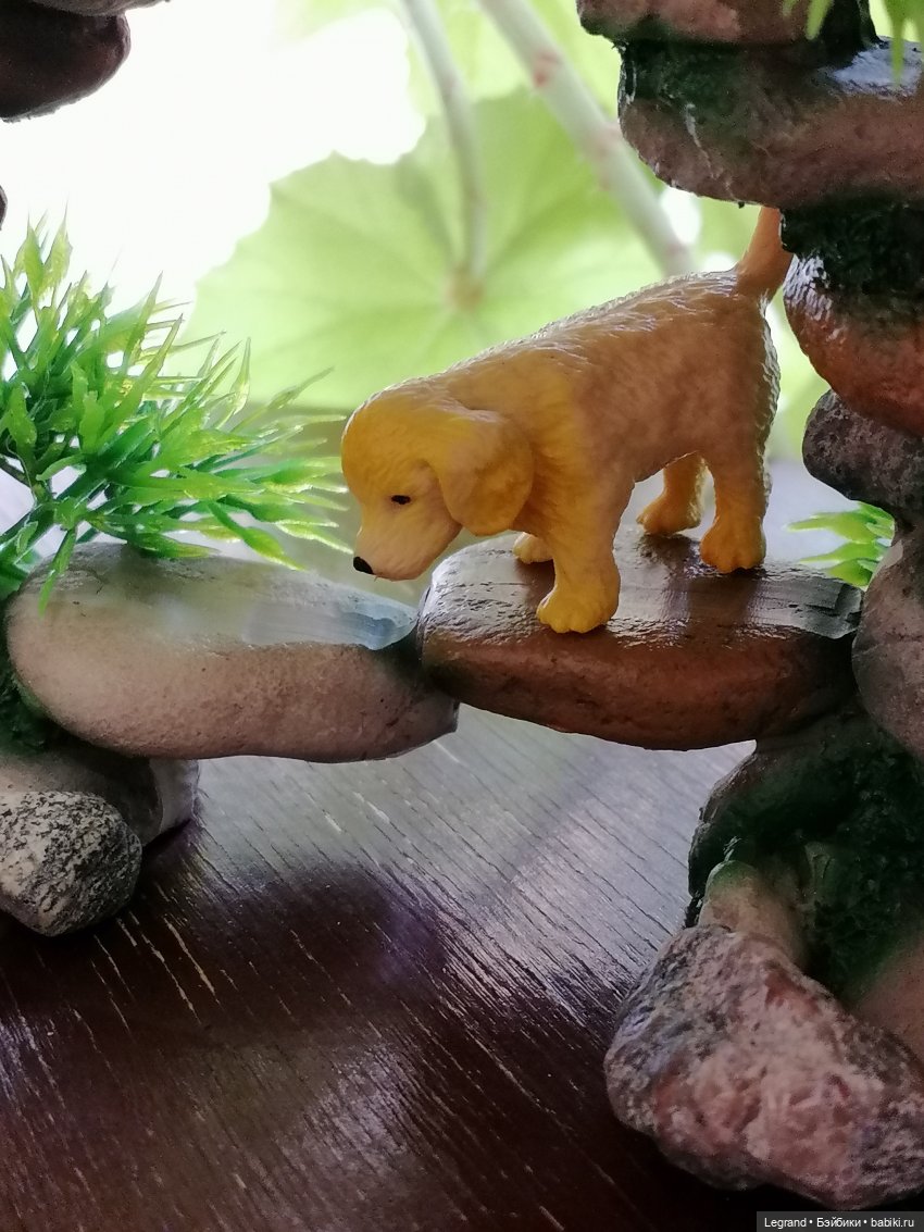 Луренские сады: Рахат и питомцы (фото 3)