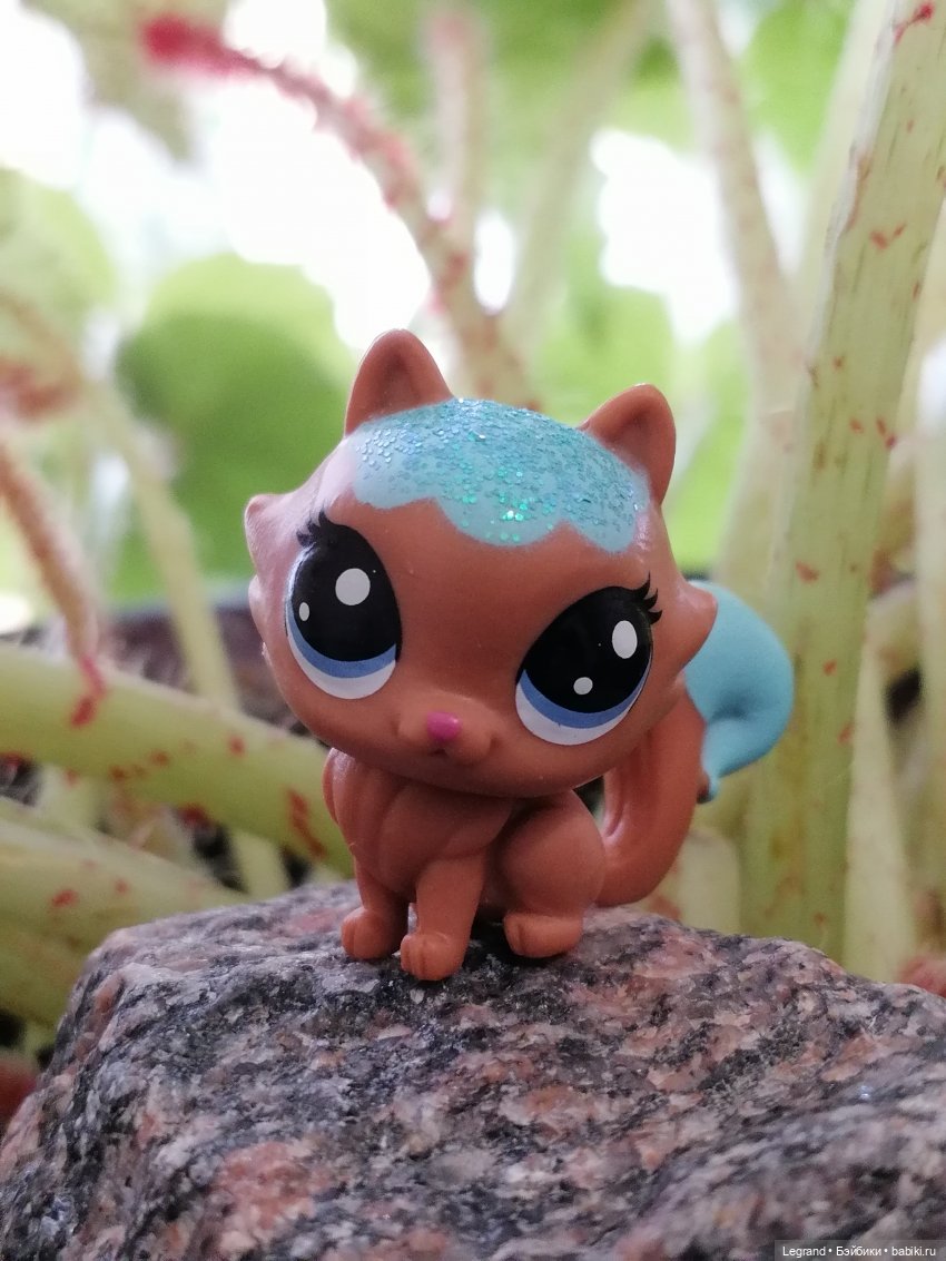 Лурения: перепись кошачьих - 2025 🤗