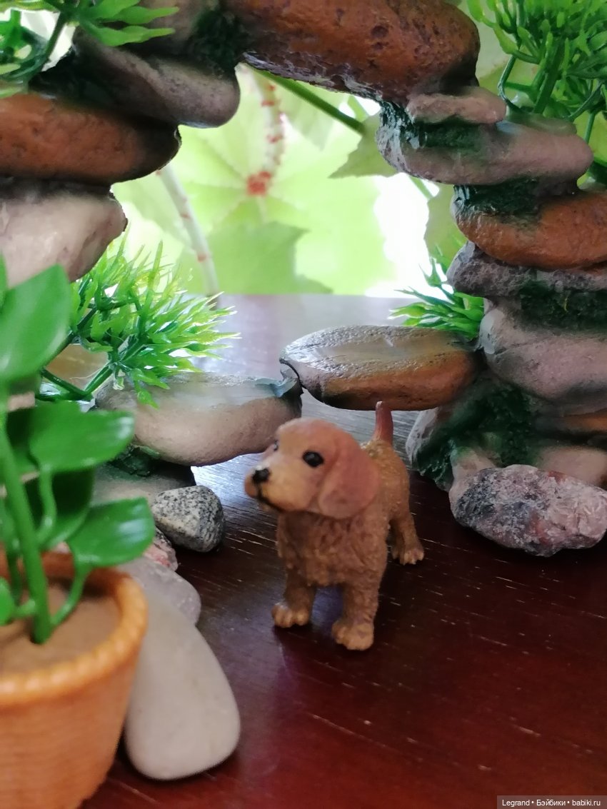 Луренские сады: Рахат и питомцы