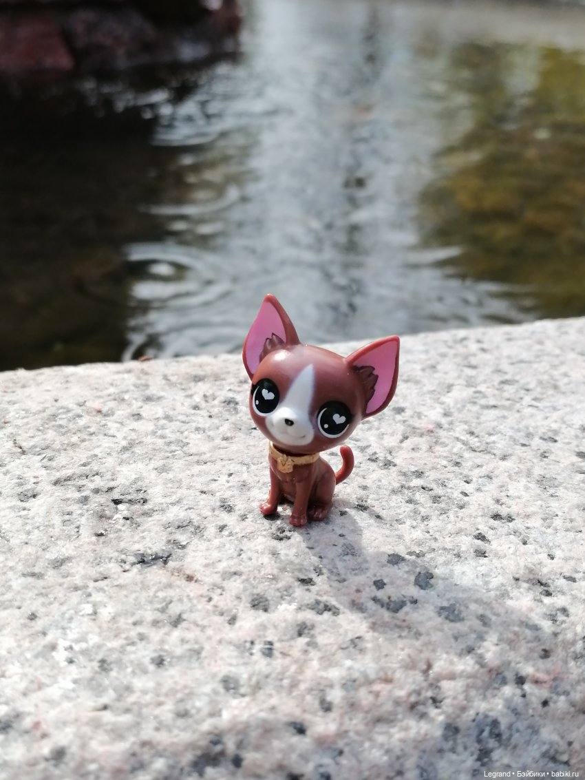 Санкт-Петербург: прогулка с собачками. У фонтанов