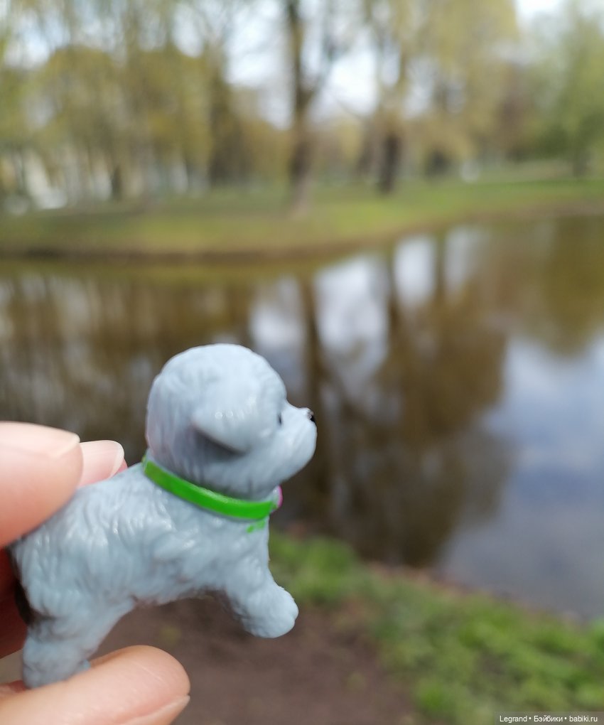 Санкт-Петербург: прогулка с собачками. Таврический сад