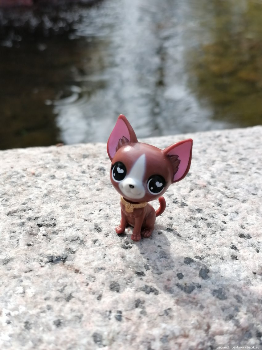 Санкт-Петербург: прогулка с собачками. У фонтанов