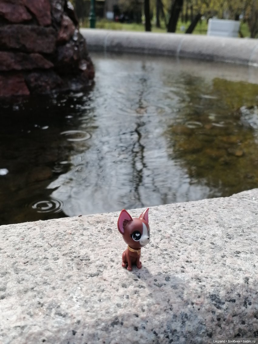 Санкт-Петербург: прогулка с собачками. У фонтанов