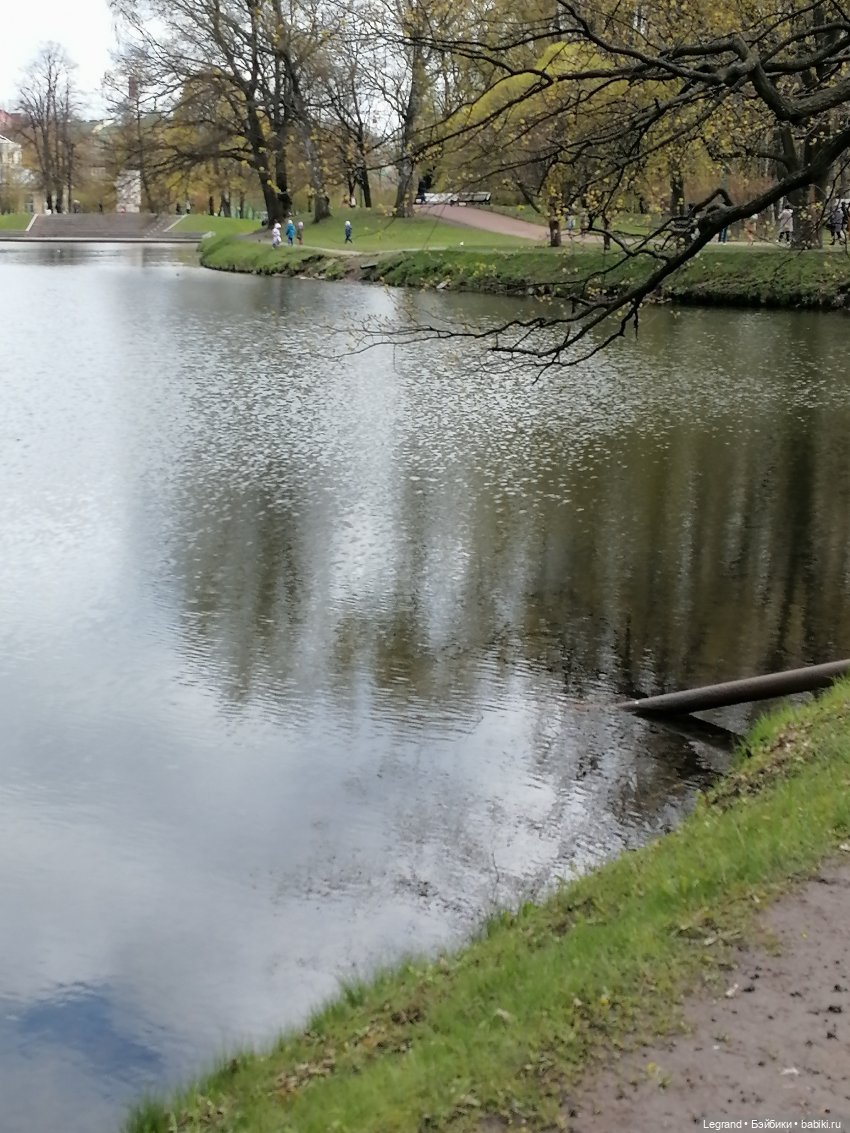 Санкт-Петербург: прогулка с собачками. Таврический сад