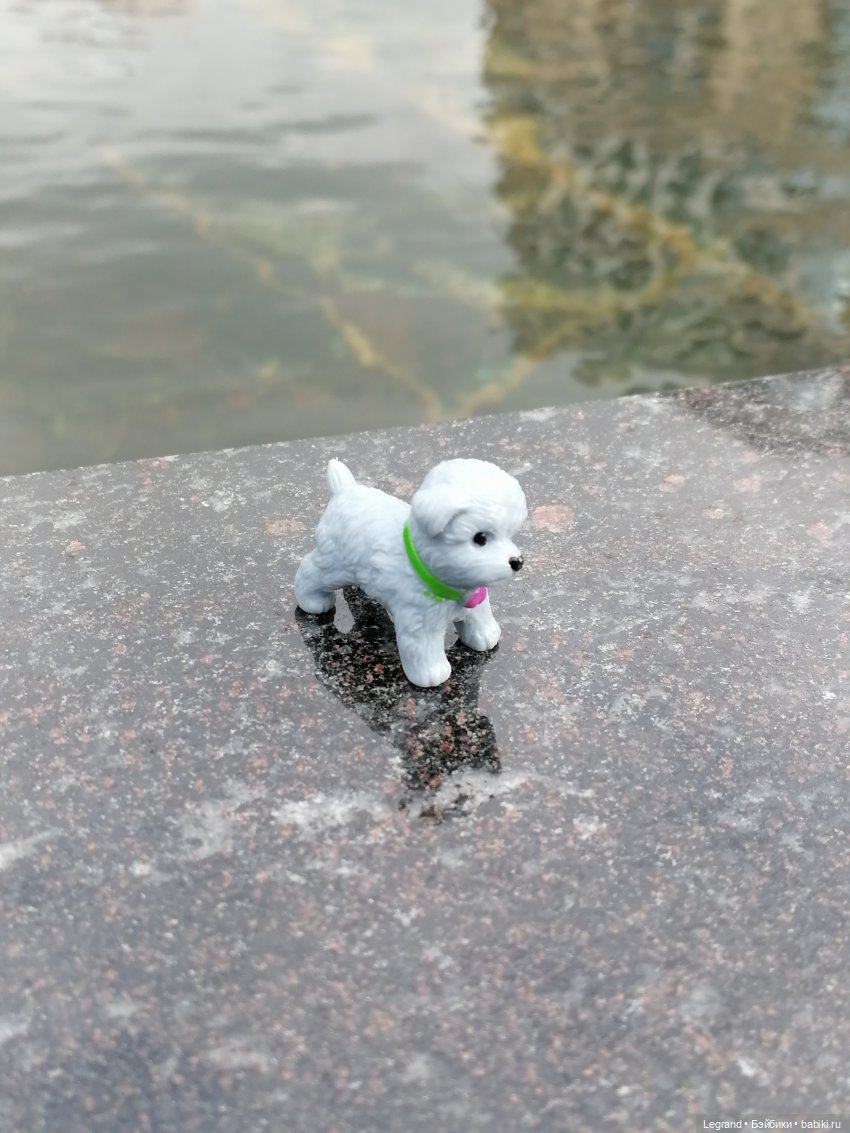 Санкт-Петербург: прогулка с собачками. У фонтанов