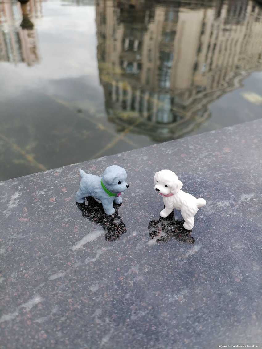 Санкт-Петербург: прогулка с собачками. У фонтанов