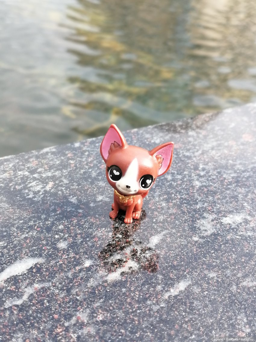 Санкт-Петербург: прогулка с собачками. У фонтанов