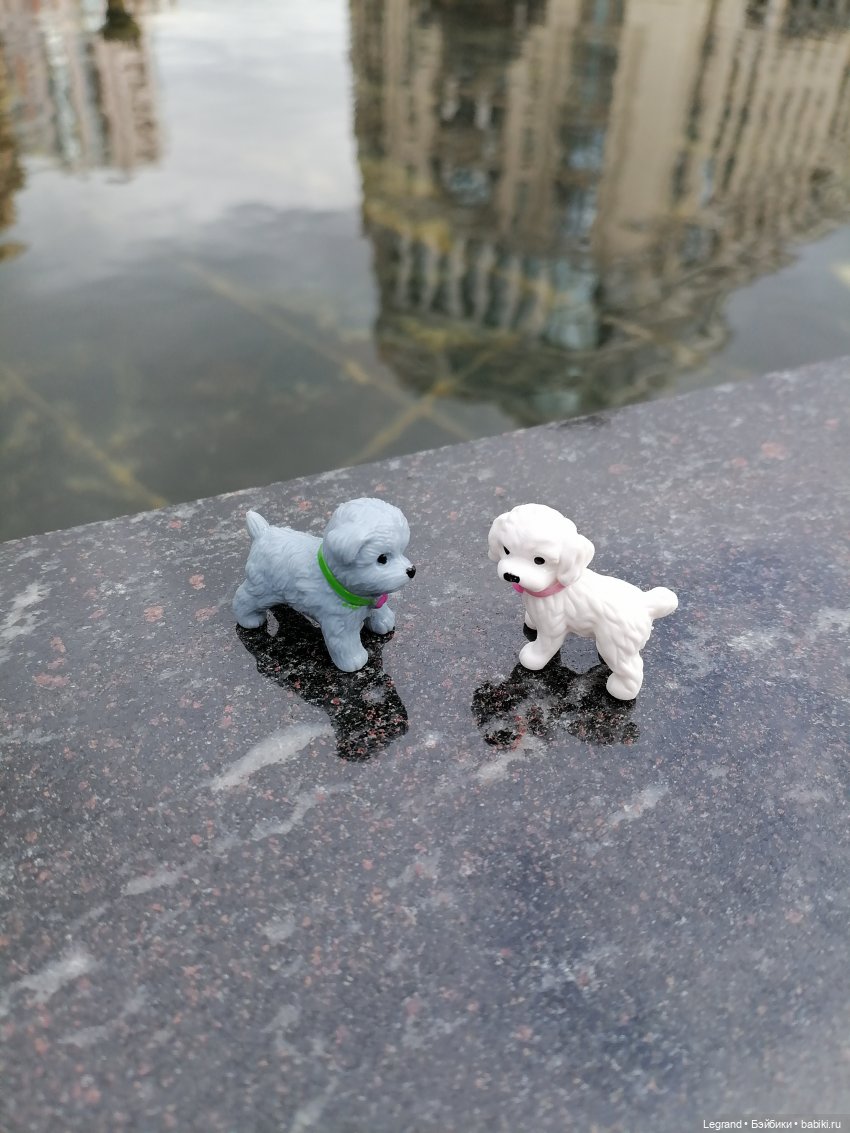 Санкт-Петербург: прогулка с собачками. У фонтанов