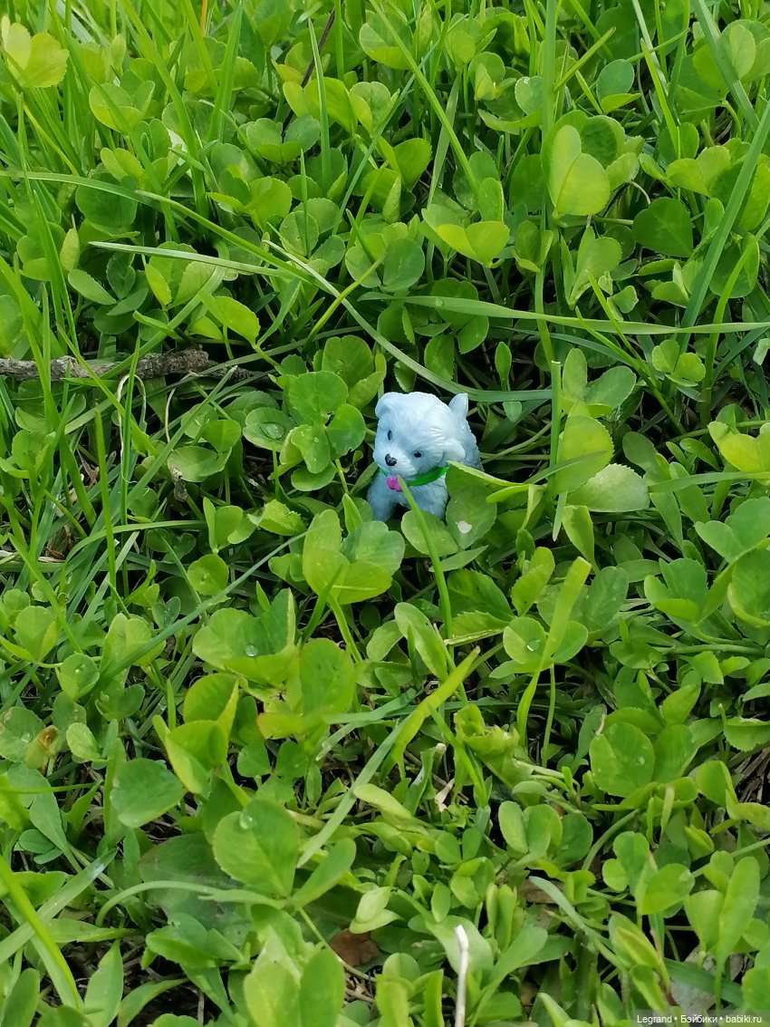 Санкт-Петербург: прогулка с собачками. Таврический сад