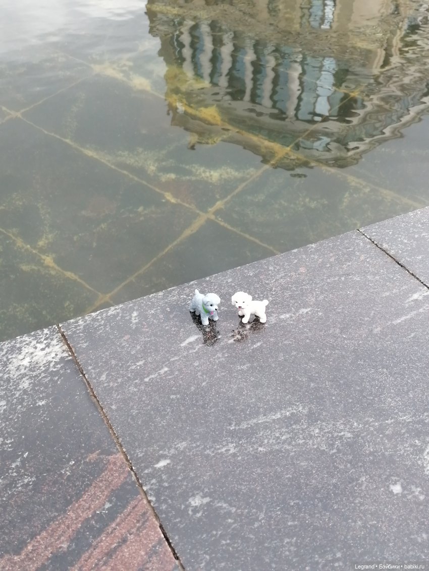 Санкт-Петербург: прогулка с собачками. У фонтанов