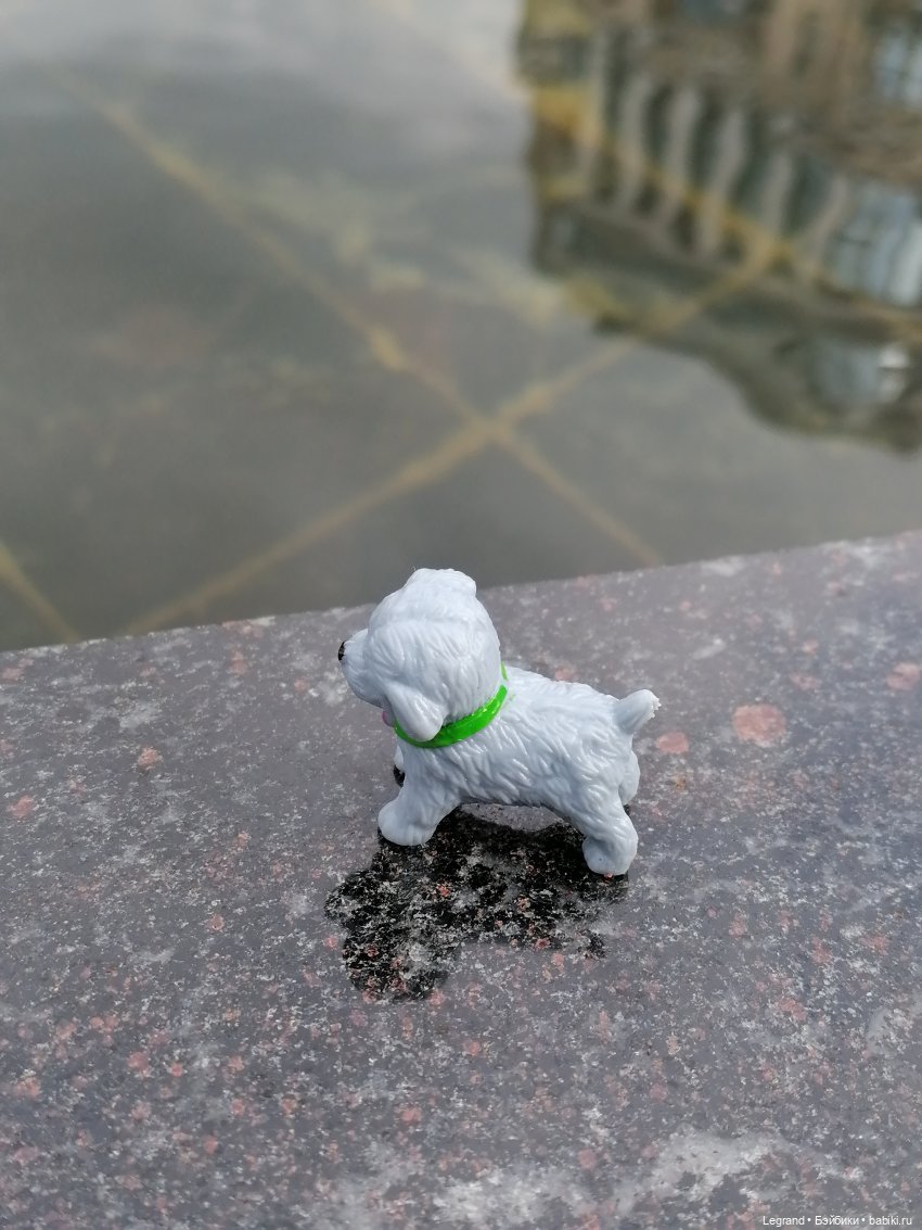 Санкт-Петербург: прогулка с собачками. У фонтанов