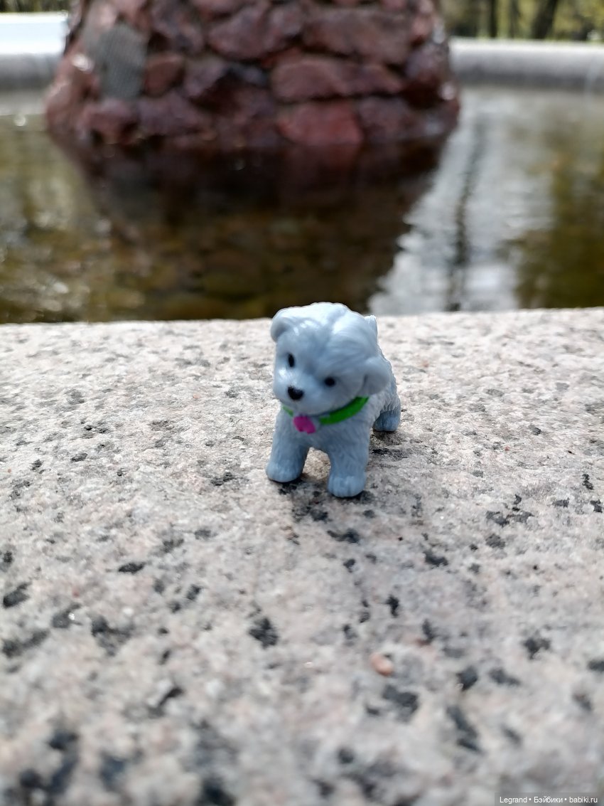 Санкт-Петербург: прогулка с собачками. У фонтанов (фото 3)