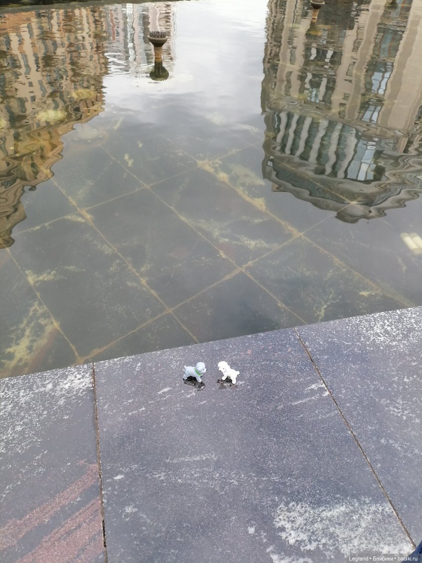 Санкт-Петербург: прогулка с собачками. У фонтанов