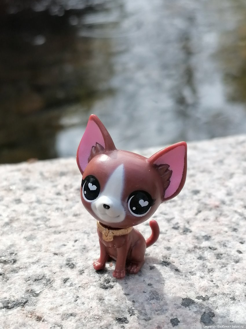 Санкт-Петербург: прогулка с собачками. У фонтанов