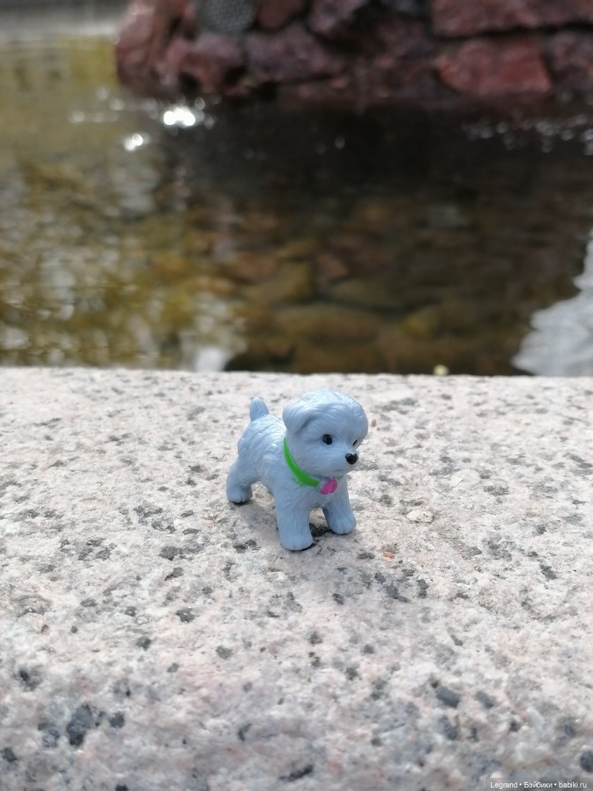 Санкт-Петербург: прогулка с собачками. У фонтанов (фото 7)