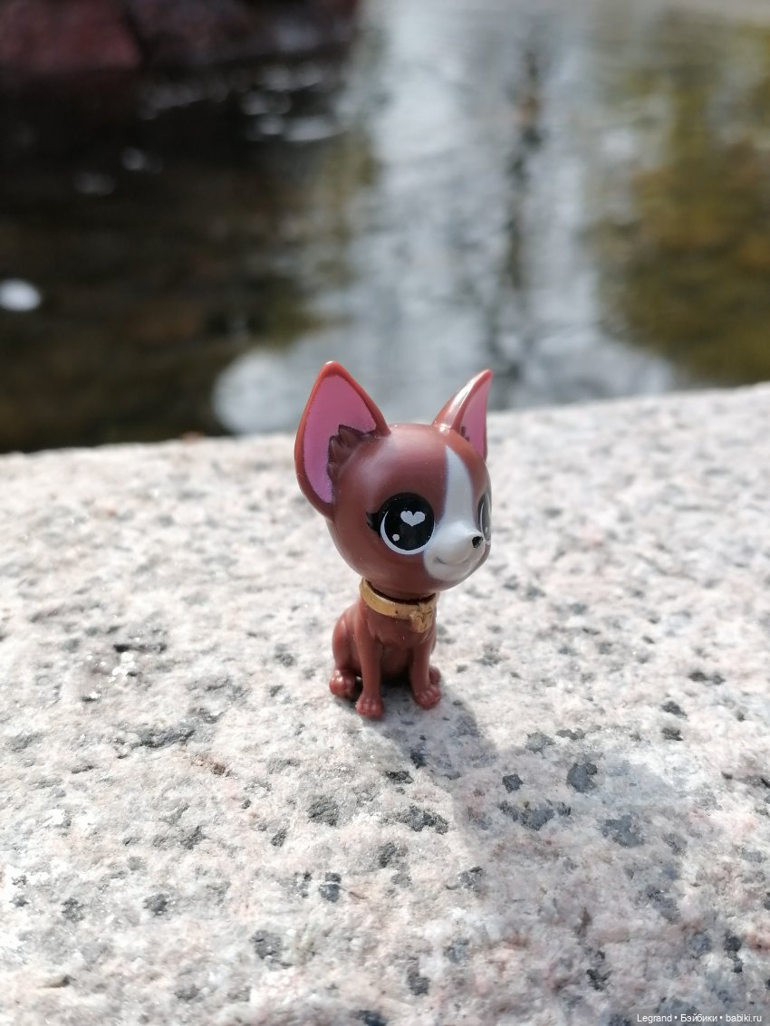 Санкт-Петербург: прогулка с собачками. У фонтанов