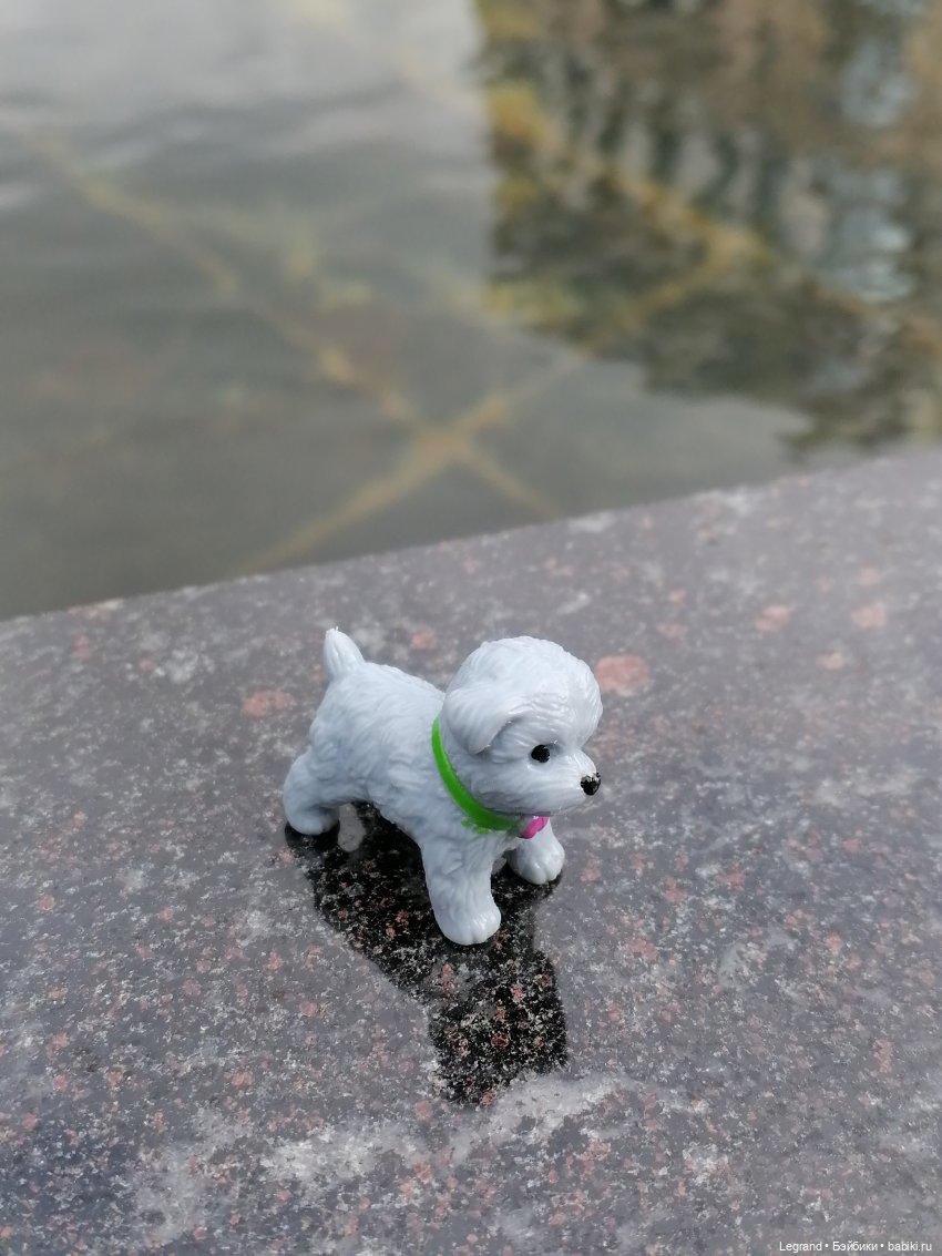 Санкт-Петербург: прогулка с собачками. У фонтанов