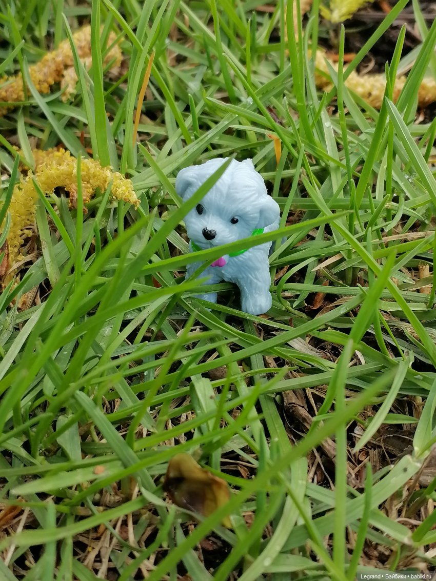 Санкт-Петербург: прогулка с собачками. Таврический сад