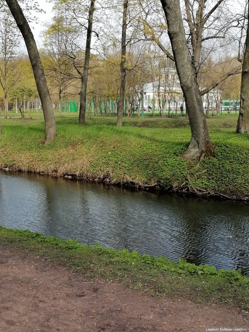 Санкт-Петербург: прогулка с собачками. У фонтанов