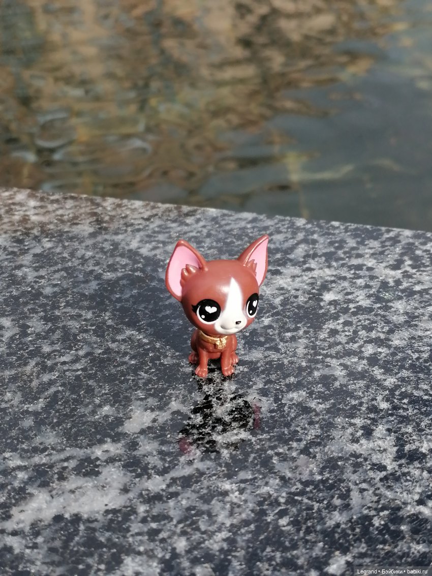 Санкт-Петербург: прогулка с собачками. У фонтанов