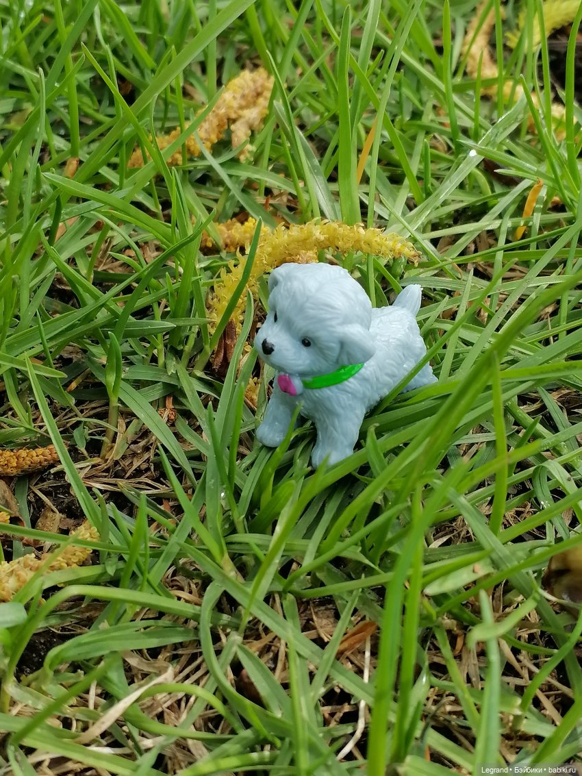 Санкт-Петербург: прогулка с собачками. Таврический сад